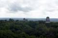 Tikal im Wald